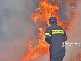 Φωτογραφία για Υπό έλεγχο η πυρκαγιά στην Ερμιονιδα [photos]
