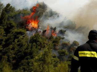 Φωτογραφία για Δύο τα μέτωπα της πυρκαγιάς στην Εύβοια - Με εναέρια μέσα η κατάσβεση