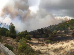Φωτογραφία για Σε ύφεση βρίσκεται η πυρκαγιά στην Κύμη της Εύβοιας