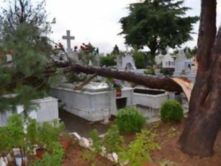 Φωτογραφία για Ανεμοστρόβιλος σάρωσε το νεκροταφείο της Τρίπολης [video]
