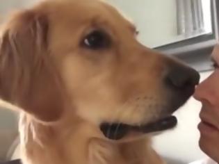 Φωτογραφία για Θα πάθετε πλάκα! Δείτε τον ΤΡΟΜΟ που νιώθει αυτός ο σκύλος όταν το αφεντικό του του λέει ότι απέκτησε αδερφάκι... [video]