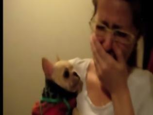 Φωτογραφία για Λέει στο σκυλάκι της Σ’αγαπώ - Δεν πιστεύει στα αυτιά της την απάντηση που παίρνει... [video]