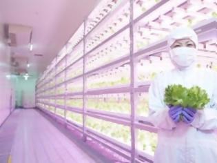 Φωτογραφία για Κάθετη φάρμα εσωτερικού χώρου παράγει 12.000 μαρούλια την ημέρα με φωτισμό LED