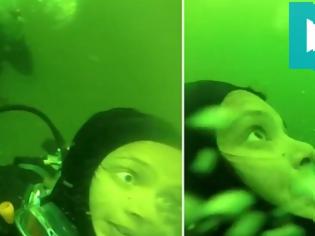 Φωτογραφία για ΔΡΑΜΑΤΙΚΟ ΒΙΝΤΕΟ με ΣΚΗΝΕΣ ΤΡΟΜΟΥ: Γυναίκα δύτης παθαίνει πανικό σε βάθος 15 μέτρων - Βγάζει τη μάσκα της και τη συσκευή του οξυγόνου! ΔEITE τι ακολούθησε…