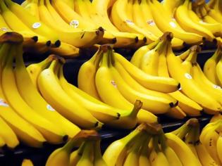 Φωτογραφία για Tο DNΑ των μυκήτων που χαλάνε τις μπανάνες
