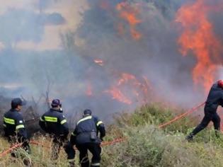 Φωτογραφία για Εύβοια: Ανεξέλεγκτη η μεγάλη φωτιά στην Κάρυστο - Έκαψε σπίτια - Μάχη με τις φλόγες