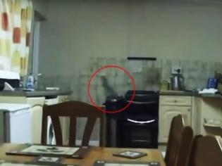 Φωτογραφία για Δεν θα πιστεύετε ΤΙ ζει στην κουζίνα του - Toυ κόπηκε το αίμα... [video]