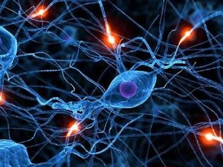 Φωτογραφία για Τεχνητοί νευρώνες με ελληνική υπογραφή