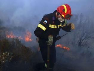 Φωτογραφία για Φθιώτιδα: Θρήνος για τον 47χρονο πυροσβέστη που έπεσε στο καθήκον