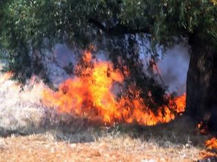 Φωτογραφία για Υπό έλεγχο οι πυρκαγιές σε Καλύβια, Τζια, Αργυρό Αλιβερίου Παρόρι Λειβαδιάς