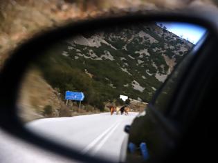 Φωτογραφία για Η παλαιά εθνική οδός Ηγουμενίτσας-Ιωαννίνων τουριστικός προορισμός για περιπατητές...