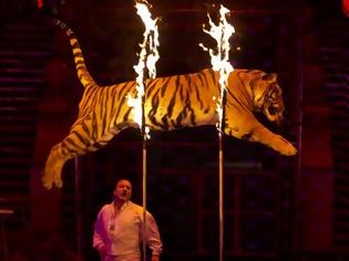 Φωτογραφία για Το τσίρκο με ζώα απαγορεύτηκε στο Ιράν από τον περασμένο Απρίλη