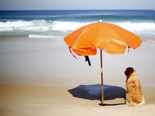 Φωτογραφία για Πώς να προστατέψεις τον σκύλο σου από τη ζέστη - Πώς του σώζεις τη ζωή
