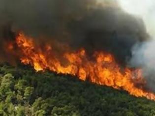 Φωτογραφία για Kαλάβρυτα: Πυρκαγιά σε δύσβατη περιοχή - Εσπευσε Πυροσβεστική και άνδρες της 6ης ΕΜΑΚ