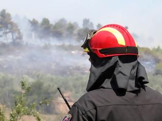 Φωτογραφία για Πυρκαγιά στη Μεσσηνία -  Ισχυρές πυροσβεστικές δυνάμεις στο σημείο