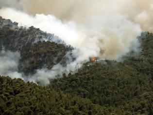 Φωτογραφία για Πυρκαγιά σε δύσβατο σημείο στα Πηγάδια Ταϋγέτου κάνει στάχτη δασικές εκτάσεις