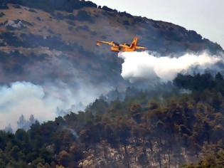 Φωτογραφία για Πυρκαγιά σε δασική έκταση στo Κιλελέρ Λάρισας