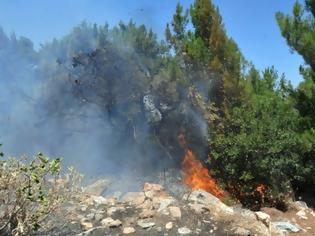 Φωτογραφία για Η πύρινη λαίλαπα κατάφερε να τυλίξει στις φλόγες περισσότερα από 20 στρέμματα στους Οθωνούς και στους Δουκάδες Κέρκυρας!