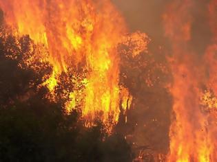 Φωτογραφία για Μάχη με τις φλόγες δίνουν ισχυρές δυνάμεις της πυροσβεστικής στον Απρόπυργο