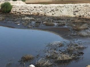 Φωτογραφία για Κύπρος: Καταγγελία Οικολόγων για συνέχιση ρύπανσης στον Οβκό ποταμό