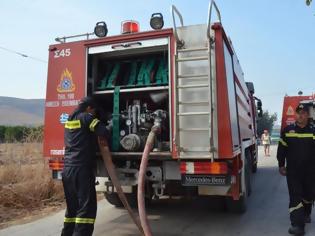 Φωτογραφία για Πυρκαγιά στη Νεμέα - Εναέρια μέσα στην επιχείρηση κατάσβεσης