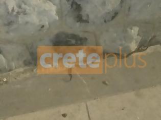 Φωτογραφία για Ενα φίδι έκανε...βόλτα στη Χανιώπορτα - Αναστάτωση στο κέντρο του Ηρακλείου