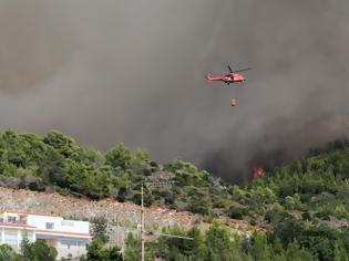 Φωτογραφία για Εύβοια: Φωτιά τώρα στο Καστρί - Οι ισχυροί άνεμοι δεν βοηθούν στην κατάσβεση