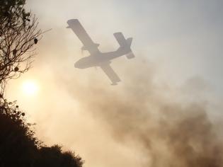 Φωτογραφία για Πύρινη κόλαση με 4 μέτωπα στη Θάσο – Εκκενώθηκαν χωριά