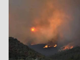 Φωτογραφία για Μαίνεται η πυρκαγιά στη Θάσο – Εκκενώθηκαν δύο μοναστήρια, τραυματίστηκε ένας πυροσβέστης