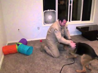 Φωτογραφία για Θα δακρύσετε με την αντίδραση του σκύλου όταν συνάντησε ξανά τον ιδιοκτήτη του που έλειπε στο στρατό