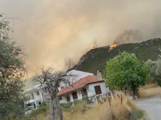 Φωτογραφία για Παραδομένη στις φλόγες η Θάσος – Κάηκαν σπίτια και επιχειρήσεις