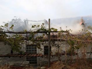 Φωτογραφία για Κλειστά σήμερα και αύριο τα σχολεία στη Θάσο