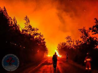 Φωτογραφία για Η Ελληνική Ομάδα Διάσωσης στα μέτωπα της φωτιάς στη Θάσο [photo]
