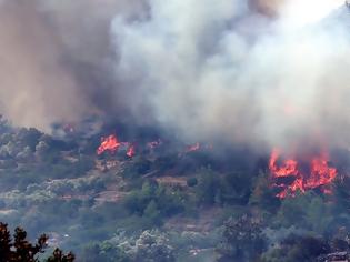 Φωτογραφία για Χίος: Λύνεται το μυστήριο της μεγάλης φωτιάς που κατέκαψε το νησί