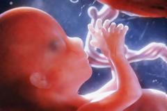 Από πιo μήνα αποκτά Ψυχή το έμβρυο;