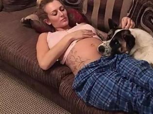 Φωτογραφία για Η σκυλίτσα της κατάλαβε οτι ήταν έγκυος: Τις τελευταίες μέρες όμως είχε πολύ περίεργη συμπεριφορά - Τότε οι γιατροί της είπαν πως...