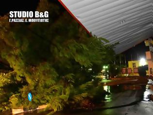 Φωτογραφία για Αργολίδα: Πεύκο έπεσε πάνω σε πρατήριο καυσίμων στη Νέα Τίρυνθα