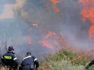 Φωτογραφία για Μαίνεται η μεγάλη φωτιά στα Φαλάσαρνα – Ισχυρή δύναμη της Πυροσβεστικής δίνει μάχη με τις φλόγες