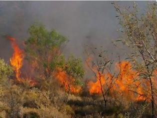 Φωτογραφία για Σε εξέλιξη πυρκαγιά στην Ανδρο - Ισχυροί άνεμοι στην περιοχή