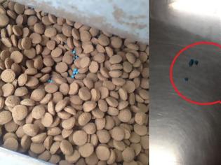 Φωτογραφία για Βοιωτία: Βρήκαν δηλητήριο ανακατεμένο με την τροφή για τα αδέσποτα σκυλιά σε ταΐστρα στο Σχηματάρι