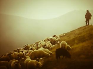 Φωτογραφία για Π.Ε. Μαγνησίας: Απογραφή αιγοπροβάτων και χοίρων