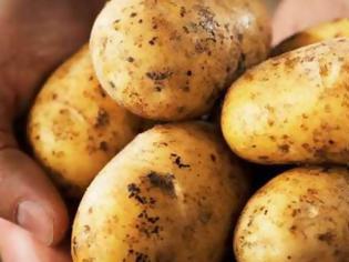 Φωτογραφία για Πότε οι πατάτες μπορεί να προκαλέσουν δηλητηρίαση