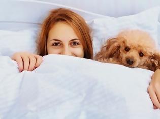 Φωτογραφία για Κοιμάσαι αγκαλιά με τον σκύλο σου; Και πολύ καλά κάνεις