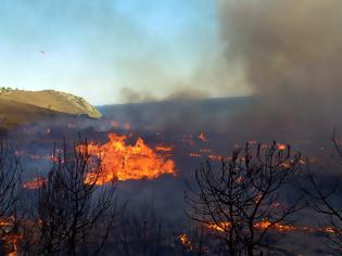 Φωτογραφία για Απαγορεύονται οι φωτιές στην Λέσβο έως 15/11 λόγω αυξημένης επικινδυνότητας από την παρατεταμένη ανομβρία