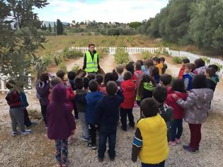 Φωτογραφία για Βιωματική εκπαιδευτική δράση «απ' τ' αμπέλι .......στο κρασί»