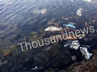 Φωτογραφία για Ένας απέραντος σκουπιδότοπος δημιουργήθηκε στην παραλία της Καλαμαριάς [video]