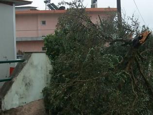 Φωτογραφία για Ανεμοστρόβιλος Χτύπησε τον Λούρο [photos]