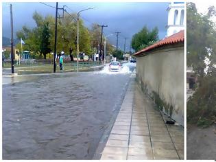 Φωτογραφία για Έβρεξε προβλήματα στη Θράκη - Πτώσεις δέντρων, πλημμυρισμένοι δρόμοι και διακοπές ρεύματος