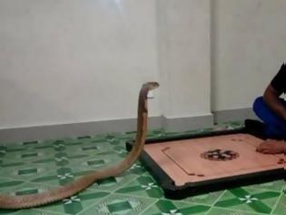 Φωτογραφία για Παντρεύτηκε ένα φίδι γιατί του έμοιαζε με την αγαπημένη του που είχε πεθάνει