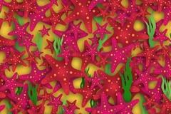 Απίστευτη εικόνα: Μπορείτε να εντοπίσετε το αεροπλάνο